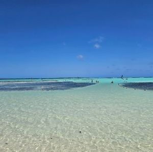 Meet your Posher, Annette